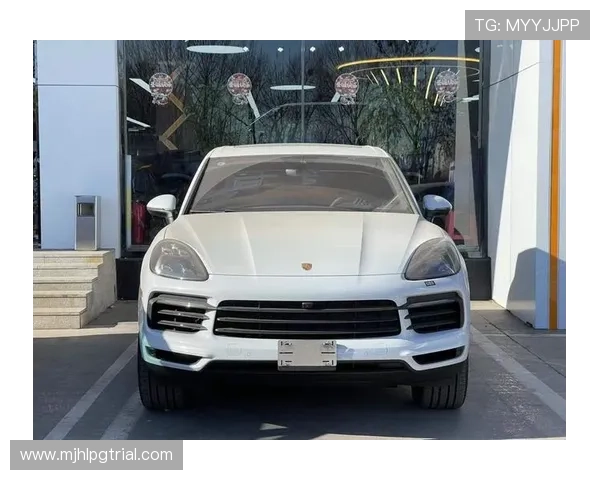 南宫娱乐旗下保时捷车型详细介绍与购车指南，满足玩家对豪华车的热情需求